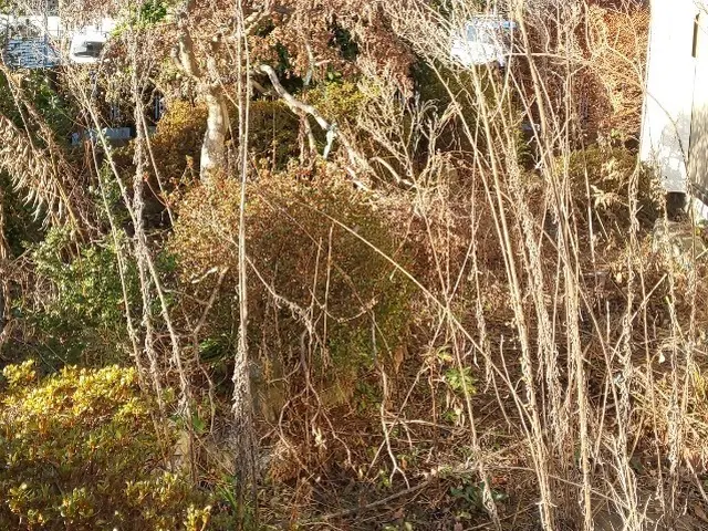 お客様のお力になります！経験と知識を活かして迅速丁寧に作業いたします！サービスの画像