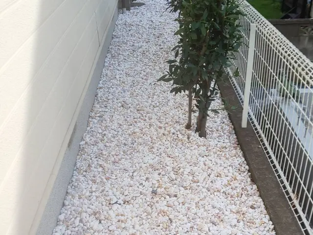 お客様のお力になります！経験と知識を活かして迅速丁寧に作業いたします！サービスの画像