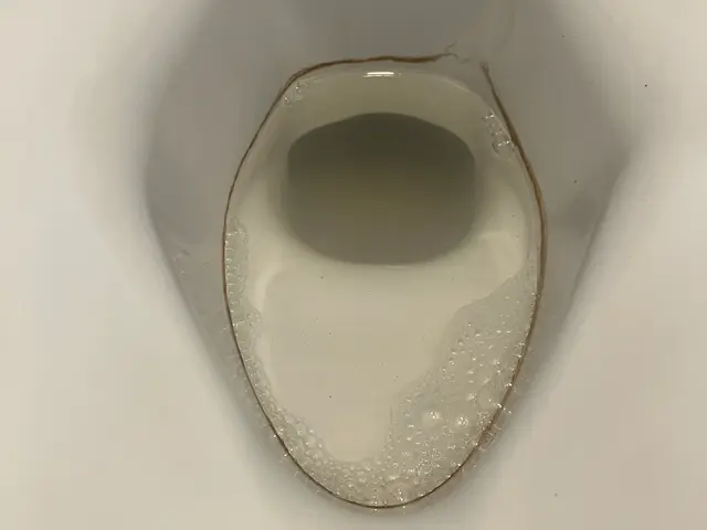 プロの技術でご満足いただけるように心を込めて作業いたしますサービスの画像