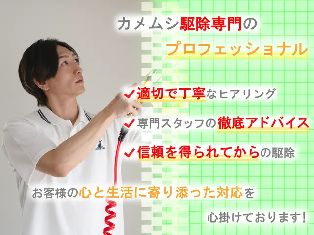 ◆即日対応可◆しつこく飛来するカメムシも徹底駆除！安全な薬剤で寄せ付けない施工！サービスの画像