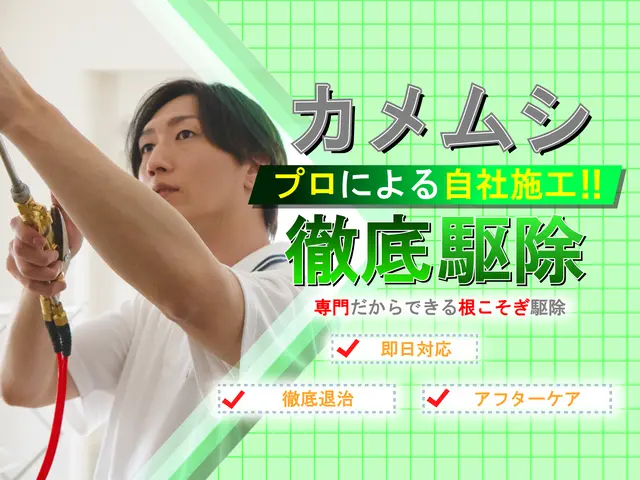 ◆即日対応可◆しつこく飛来するカメムシも徹底駆除！安全な薬剤で寄せ付けない施工！サービスの画像