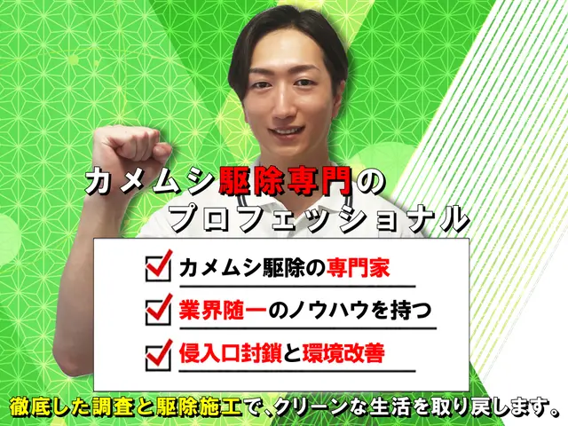 ◆即日対応可◆しつこく飛来するカメムシも徹底駆除！安全な薬剤で寄せ付けない施工！サービスの画像