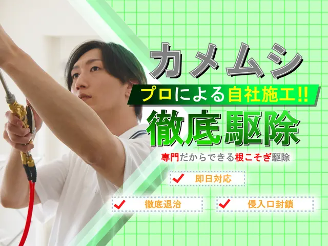 ◆即日対応可◆しつこく飛来するカメムシも徹底駆除！安全な薬剤で寄せ付けない施工！サービスの画像
