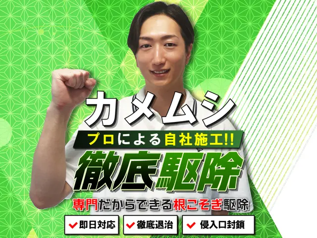 ◆即日対応可◆しつこく飛来するカメムシも徹底駆除！安全な薬剤で寄せ付けない施工！サービスの画像
