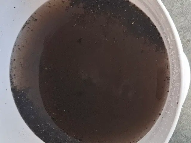 【オープン記念につき値下げ中！】家電メーカー出身の電気工事士が丁寧に清掃！サービスの画像