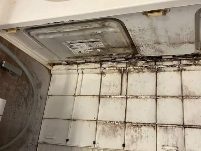 セットがお得！カビも水アカも徹底除去！サービスの画像