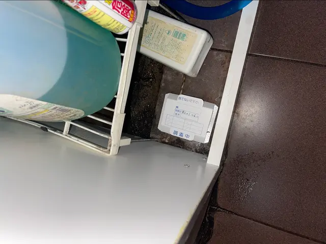 追加料金なしの安心施工　　　　　　　　　　　粘着トラップ・薬剤　込みで徹底駆除サービスの画像