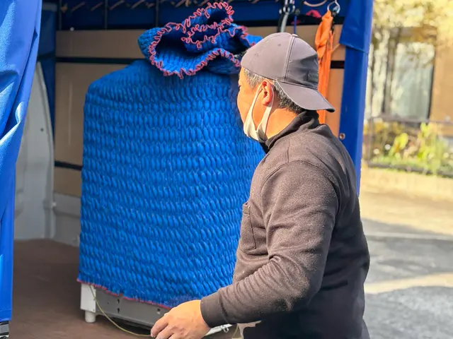 安心引越しサービス　軽トラック幌車を持ちいて迅速、丁寧に作業致しますサービスの画像