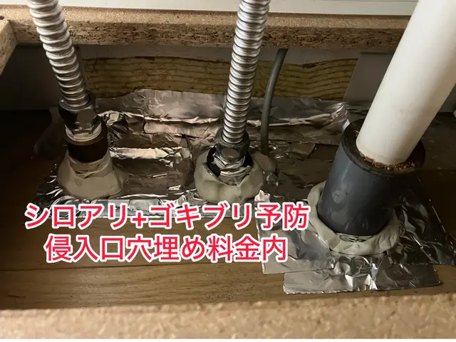 《2024年金賞》シロアリ駆除＋ゴキブリ見たくない人侵入口穴埋め※穴埋め料金内！サービスの画像