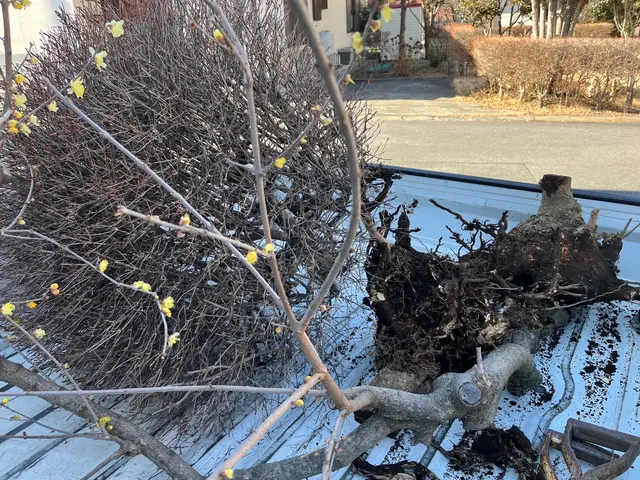 クレジットカード支払対応◎営業時間外も対応可能◎丁寧に仕上げますサービスの画像