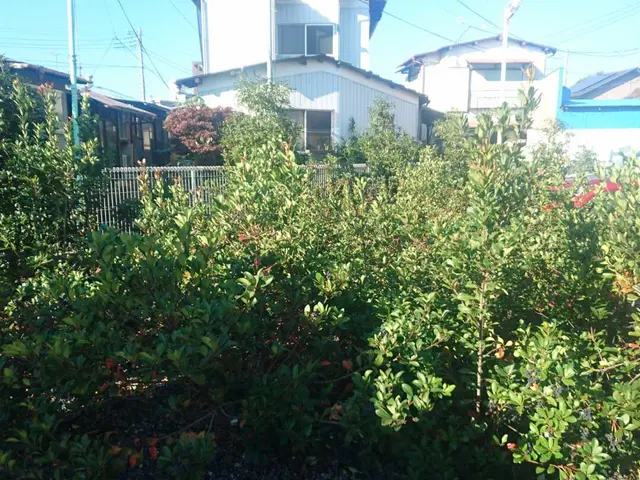 安心価格!!【実績15年】女性スタッフ同行も可能です！作業外注なし◎サービスの画像