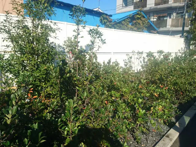 安心価格!!【実績15年】女性スタッフ同行も可能です！作業外注なし◎サービスの画像