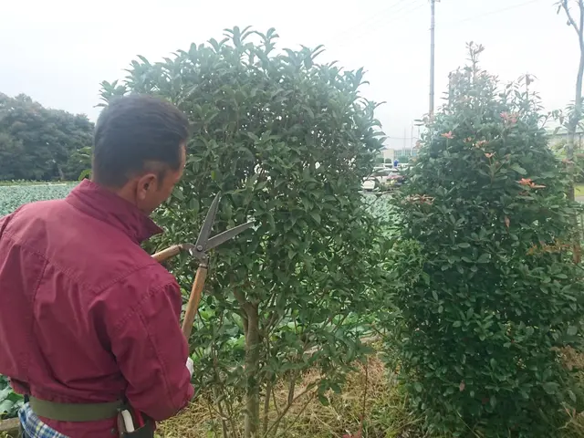 安心価格!!【実績15年】女性スタッフ同行も可能です！作業外注なし◎サービスの画像