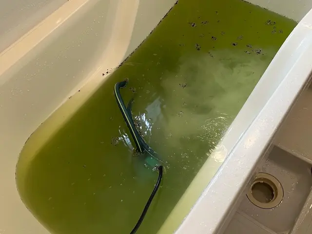 ルミテスターで数値を測ります☆浴室風呂釜洗浄☆浴室クリーニングとセットがオススメサービスの画像