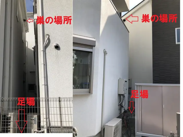 巣未確認→予約前に問合せください！安心事前見積り！年内再発保証付！PayPay可サービスの画像