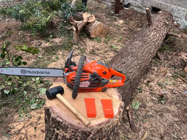 緑のお仕事承ります。サービスの画像