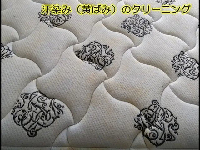 マットレス洗浄オネショやペットの粗相、嘔吐、血液まで対応しますサービスの画像