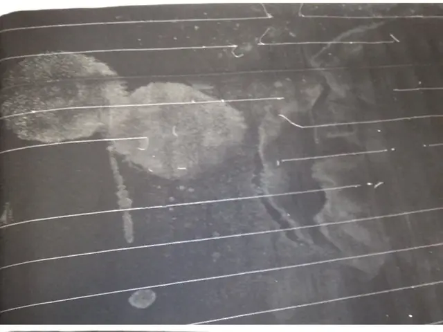 マットレス洗浄オネショやペットの粗相、嘔吐、血液まで対応しますサービスの画像