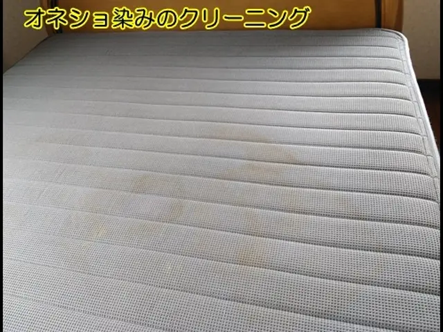 マットレス洗浄オネショやペットの粗相、嘔吐、血液まで対応しますサービスの画像