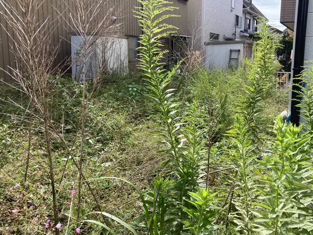 【業歴10年以上】丁寧さと実績で選ばれてます。お気軽にご相談ください!サービスの画像