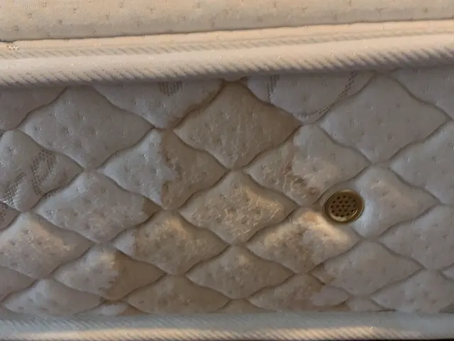 ベッドマットレスの古いシミや消臭、抗菌対策に自信有り！お気軽にご相談下さい！サービスの画像