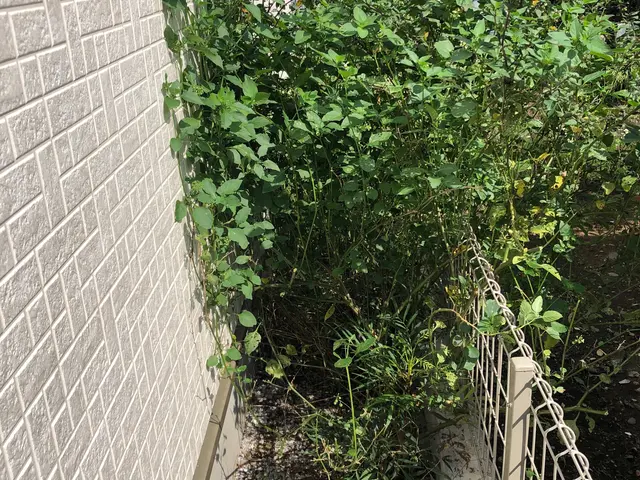 除草剤込みの料金です！手作業ならではの丁寧な作業で好評いただいております！サービスの画像