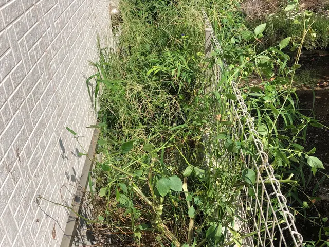 除草剤込みの料金です！手作業ならではの丁寧な作業で好評いただいております！サービスの画像