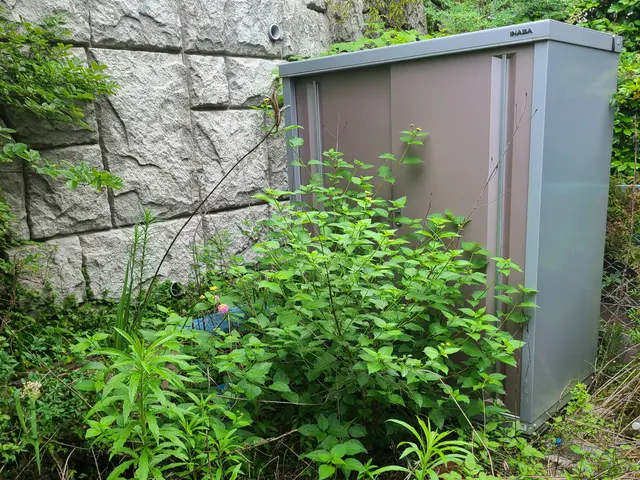 《八王子発》物置解体 回収致します！中身の不用品も対応可能です！PayPay可サービスの画像