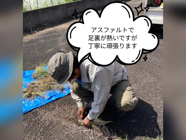 ご好評につき9/17以降の対応となります☆お庭や駐車場の草抜き☆サービスの画像
