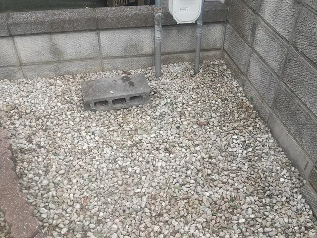 ご好評につき11/4以降の対応となります☆お庭や駐車場の草抜き☆サービスの画像