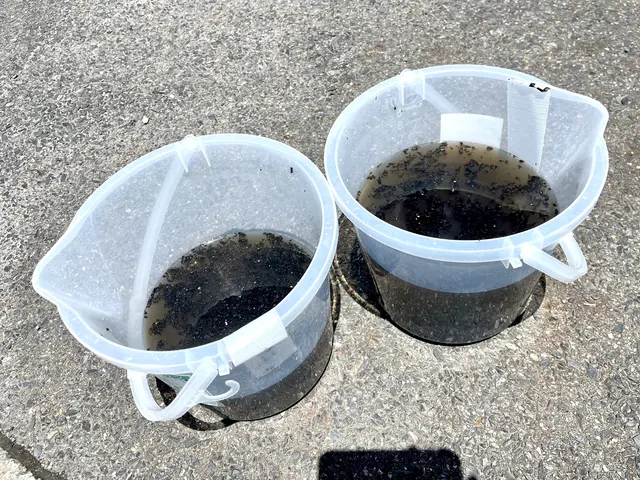 ◉安心の法人店舗◉通常約2万円する分解サービス→6800円で エコ洗剤洗濯可サービスの画像