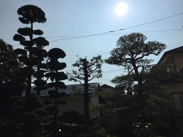 【地域密着・土曜も営業！】経験豊富なスタッフによる丁寧な庭仕事◆損保加入済サービスの画像