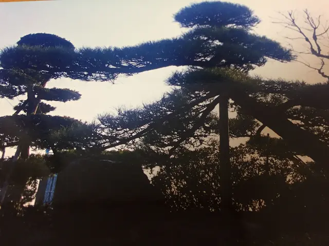 【地域密着・土曜も営業！】経験豊富なスタッフによる丁寧な庭仕事◆損保加入済サービスの画像