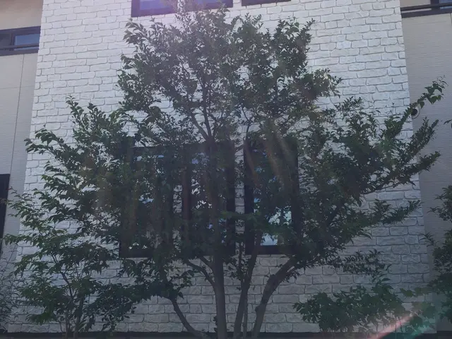 【地域密着・土曜も営業！】経験豊富なスタッフによる丁寧な庭仕事◆損保加入済サービスの画像