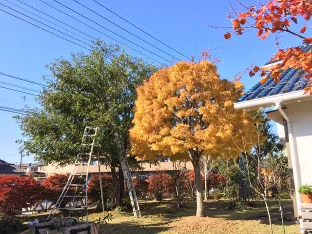 【地域密着・土曜も営業！】経験豊富なスタッフによる丁寧な庭仕事◆損保加入済サービスの画像