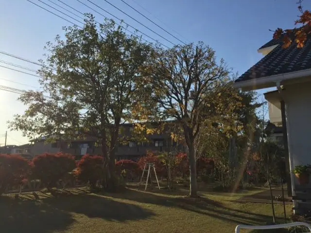 【地域密着・土曜も営業！】経験豊富なスタッフによる丁寧な庭仕事◆損保加入済サービスの画像