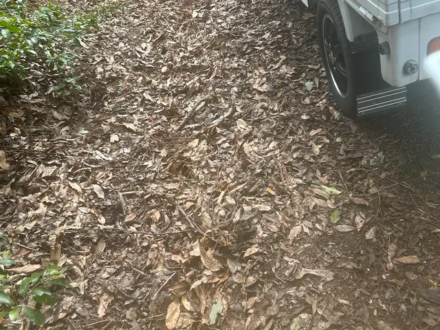 側溝の詰まり、清掃、泥。サービスの画像