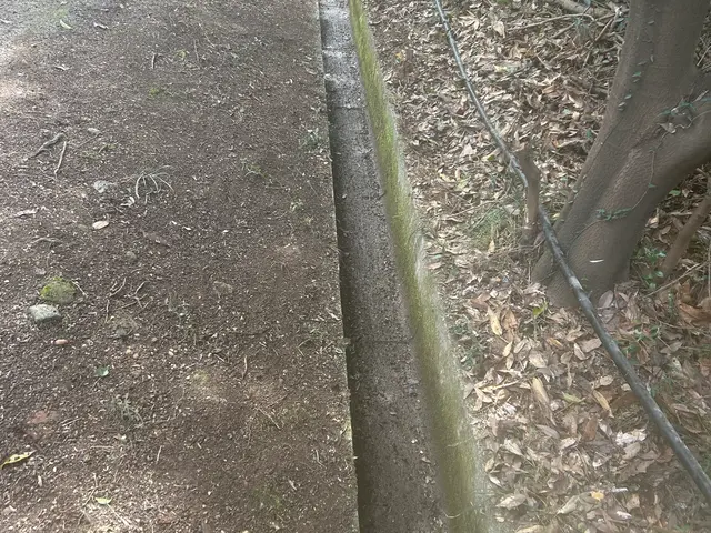 側溝の詰まり、清掃、泥。サービスの画像