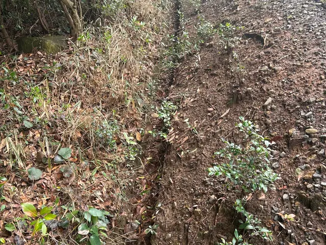 側溝の詰まり、清掃、泥。サービスの画像