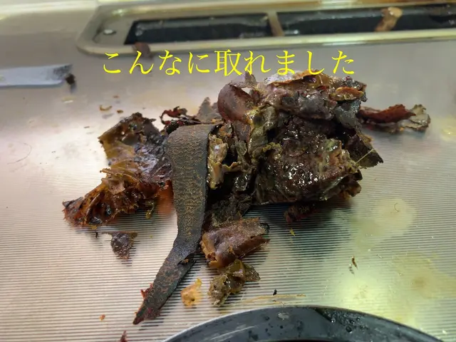 身体に優しいエコ洗剤使用しています。コンロ、魚グリル追加で22000円^_^サービスの画像