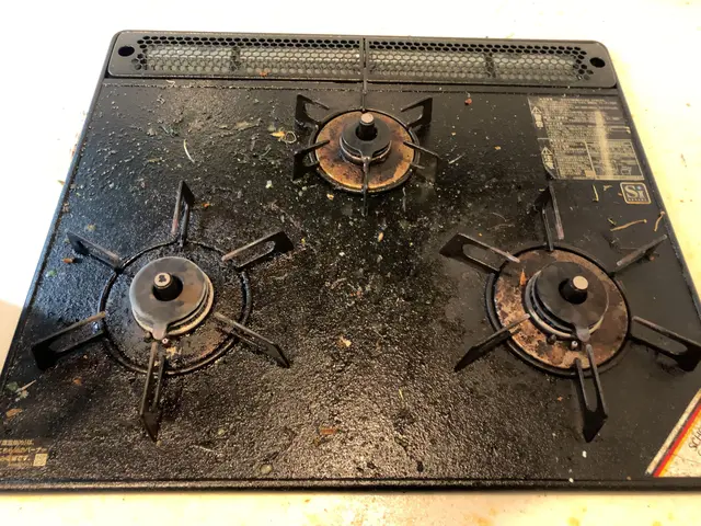 身体に優しいエコ洗剤使用しています。コンロ、魚グリル追加で22000円^_^サービスの画像