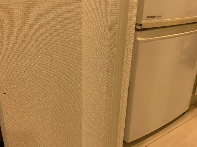 「高評価関東圏上位店」穴が無かった様な仕上がりに！　現状復旧・火災保険対応可能サービスの画像