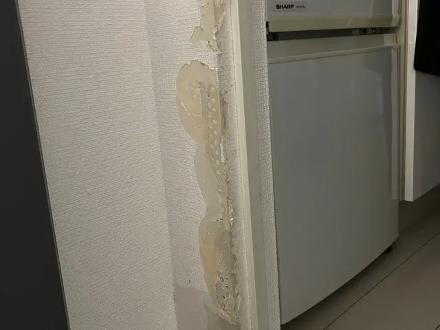 「高評価関東圏上位店」穴が無かった様な仕上がりに！　現状復旧・火災保険対応可能サービスの画像