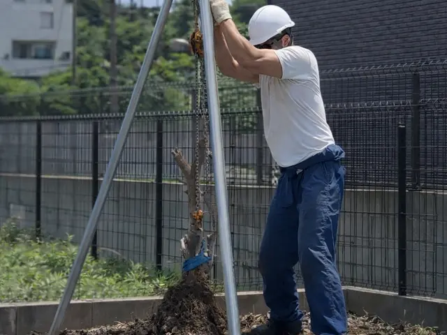 プロの技術でご満足いただけるように心を込めて作業いたしますサービスの画像