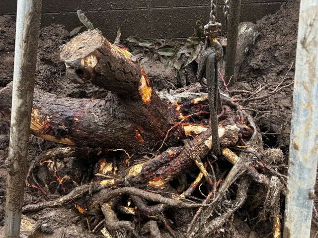 プロの技術でご満足いただけるように心を込めて作業いたしますサービスの画像