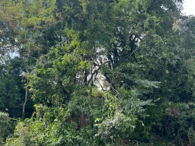 プロの技術でご満足いただけるように心を込めて作業いたしますサービスの画像