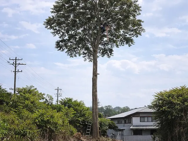 プロの技術でご満足いただけるように心を込めて作業いたしますサービスの画像