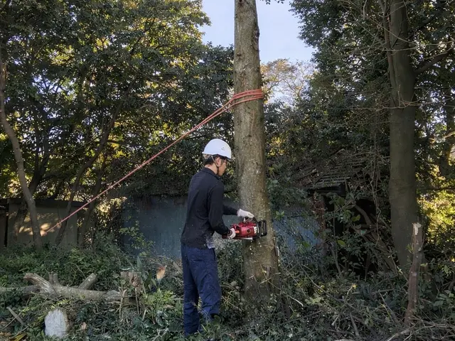 プロの技術でご満足いただけるように心を込めて作業いたしますサービスの画像