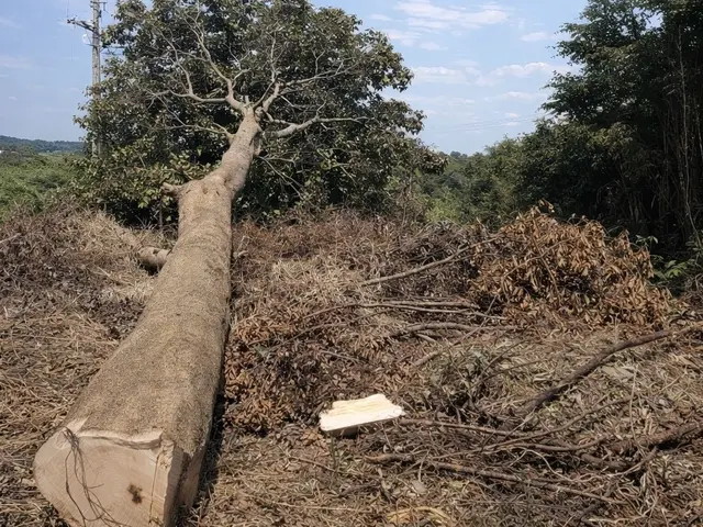 プロの技術でご満足いただけるように心を込めて作業いたしますサービスの画像