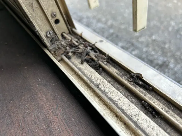 ◎窓ガラスとサッシの汚れ、隅々までピカピカに◎ガラス１０枚以上からサービスの画像